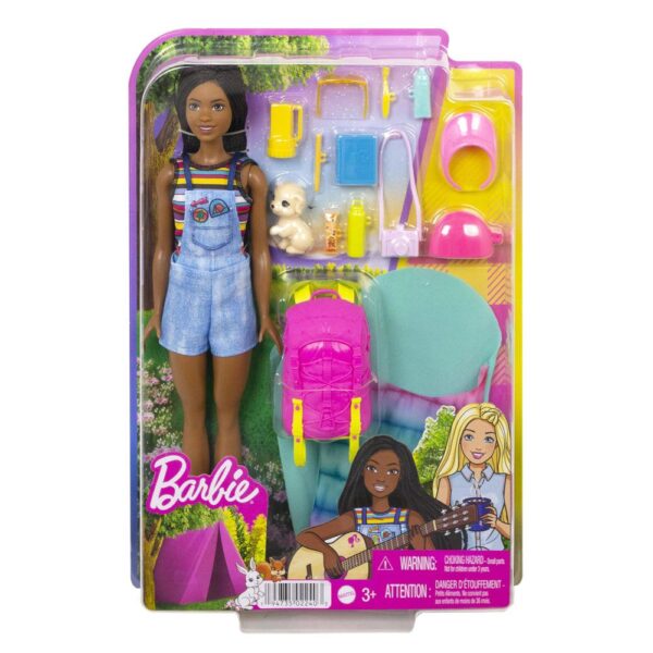 Papusa cu accesorii Barbie Adventures Camping Domestic Brooklyn