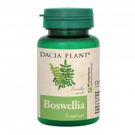 Dacia Plant Boswellia