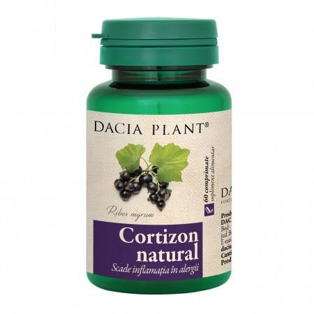 Dacia Plant Cortizon natural
